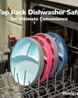 Silicone Suction Plate – Divided, Single Plate (No Lid)