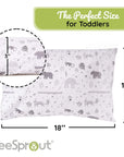 Organic Cotton Toddler Pillow & Pillowcase
