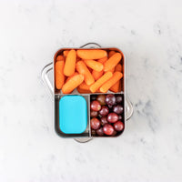 Stainless Steel Bento Box – Small