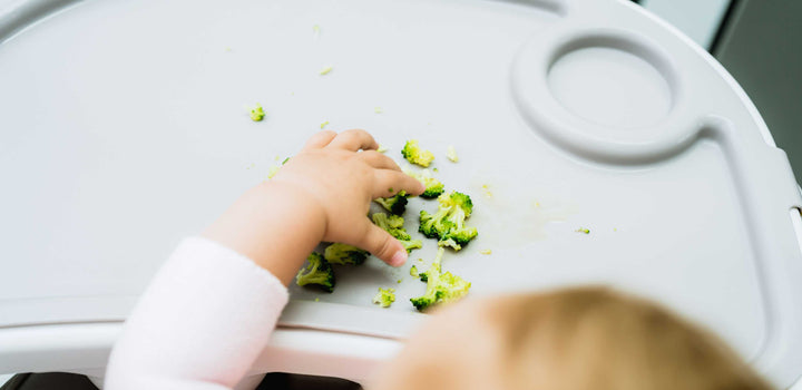The Ultimate Guide to Baby Led Weaning During the Holidays