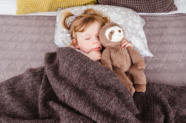Child sleeping on organic toddler pillow with stuffed animal in hand