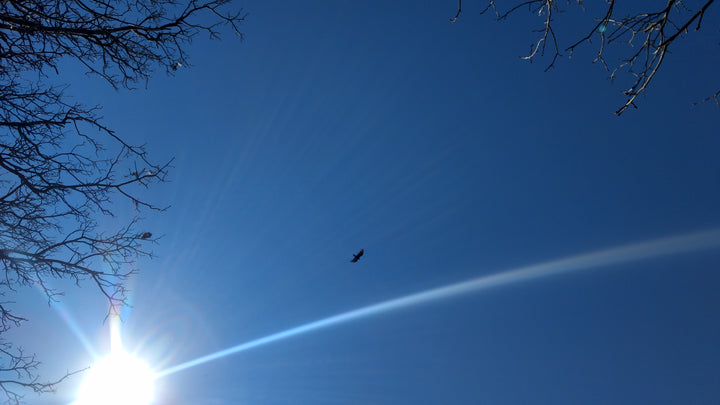 Picture of the sky with a sun and lens flare in the bottom left corner