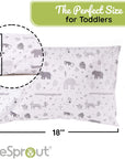 Organic Cotton Toddler Pillow & Pillowcase