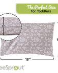 Organic Cotton Toddler Pillow & Pillowcase