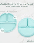 Silicone Divided Plates with Lids (Non-Suction) – Set of 3