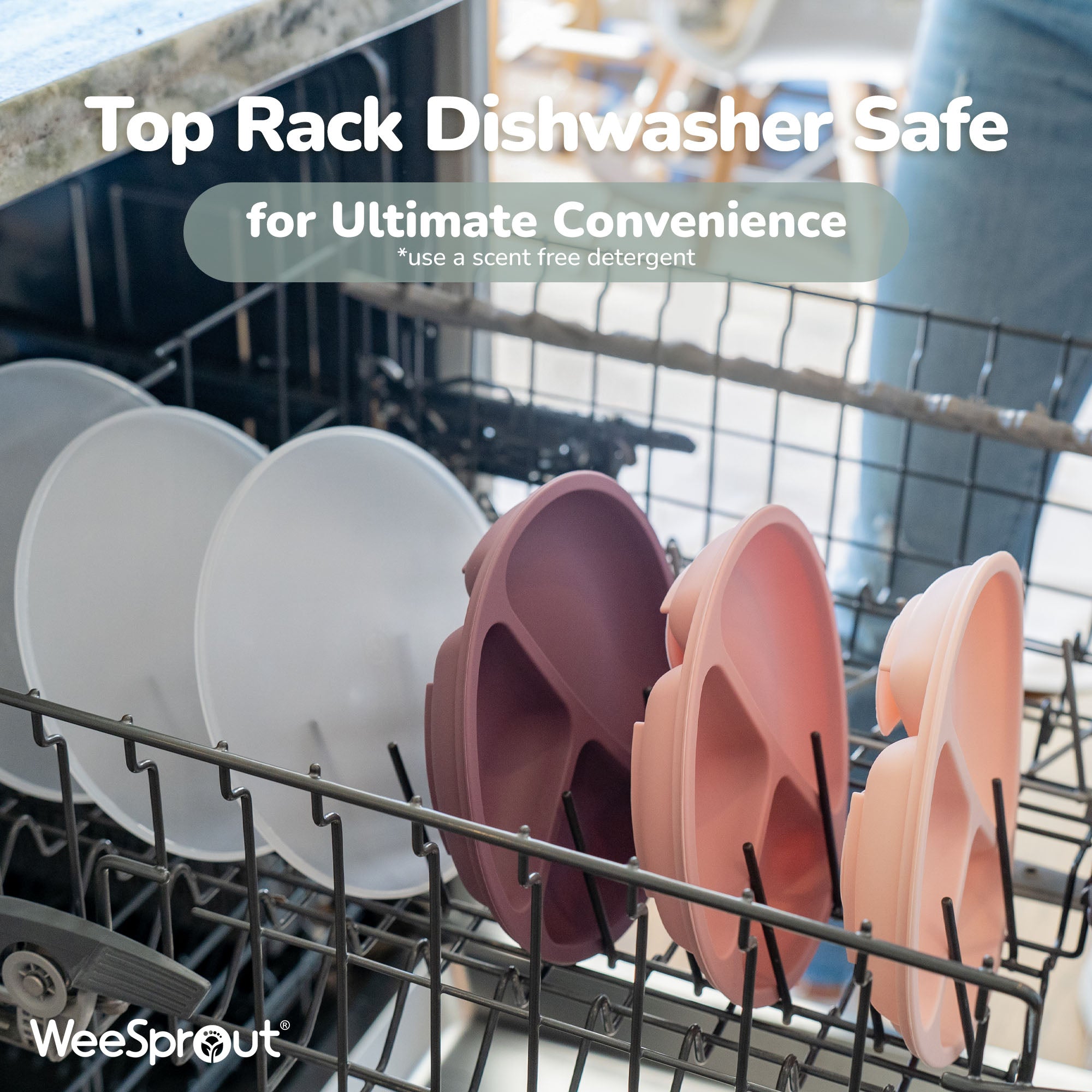 Silicone Divided Plates with Lids (Non-Suction) – Set of 3