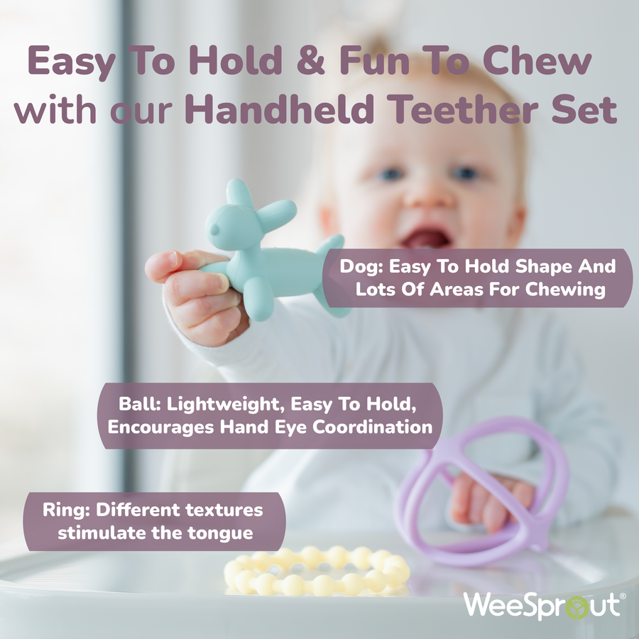 Handheld Teether Set