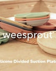 Silicone Suction Plates – Set of 3 (Lid Option Available)
