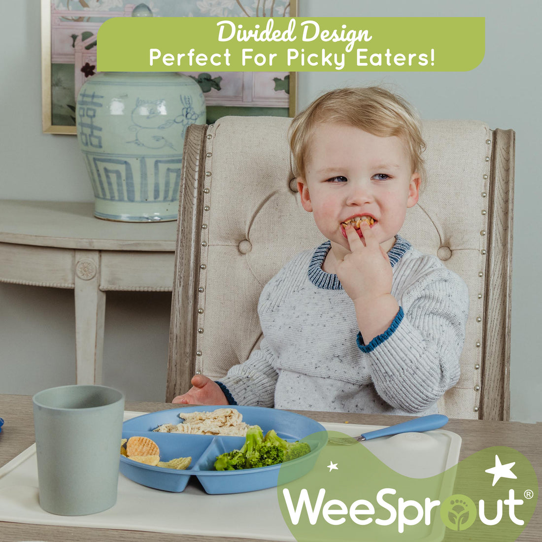 Bamboo Divided Kids or Toddler Plates